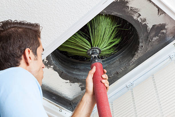 Best Home Air Vent Cleaning  in Fulda, MN