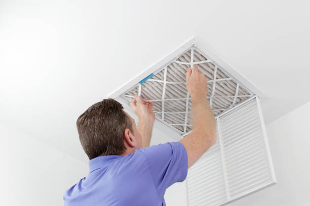 Air Duct Mold Removal in MN